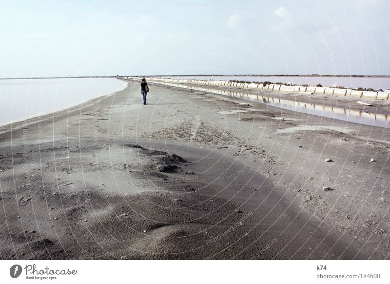 walk the line Farbfoto Gedeckte Farben Außenaufnahme Tag Mensch 1 Wasser Horizont Meer See Sand gehen Ferne ruhig Einsamkeit verloren