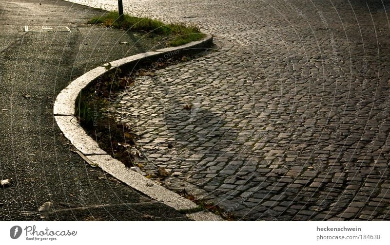 Asphaltstrand Sommer Herbst Gras Stadt Menschenleer Verkehrswege Straßenverkehr Stein rund ruhig Sehnsucht Einsamkeit Bordsteinkante Pflastersteine Gully