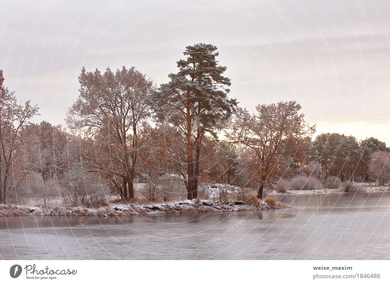 Kalter schneebedeckter Morgen auf dem See. Spätherbst Ferien & Urlaub & Reisen Tourismus Abenteuer Freiheit Winter Schnee Umwelt Natur Landschaft Pflanze Himmel