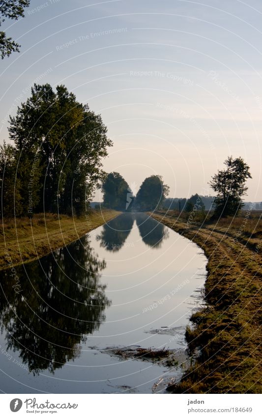 an der biegung des flusses Außenaufnahme Menschenleer Textfreiraum oben Morgen Zentralperspektive ruhig Natur Landschaft Pflanze Wasser Baum Flussufer natürlich