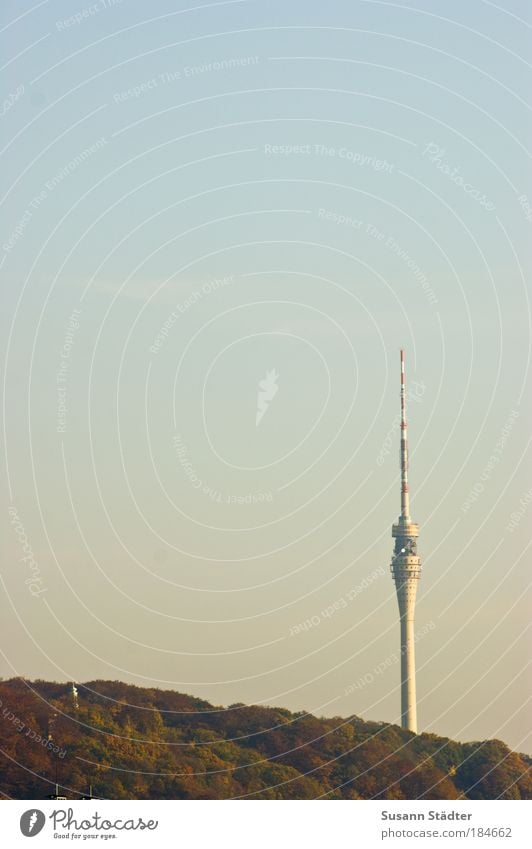 Dresdner Telespargel Pflanze Himmel Herbst Schönes Wetter Baum Wald Hügel Felsen Berge u. Gebirge Gipfel Turm Architektur Fenster Antenne Satellitenantenne