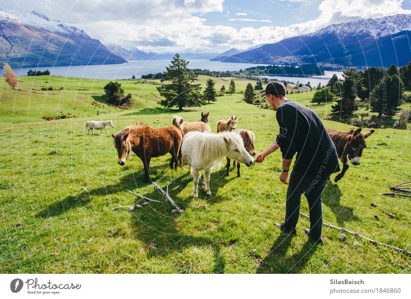 Fütterung Ponys Lifestyle Wellness Leben Ferien & Urlaub & Reisen Ausflug Abenteuer Ferne Freiheit Camping Sommerurlaub Berge u. Gebirge wandern Fitness