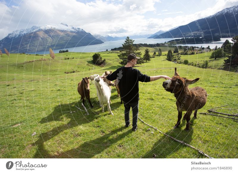 Überqueren der Ponys Ferien & Urlaub & Reisen Ausflug Abenteuer Ferne Freiheit Camping wandern Junger Mann Jugendliche 18-30 Jahre Erwachsene Natur Sommer