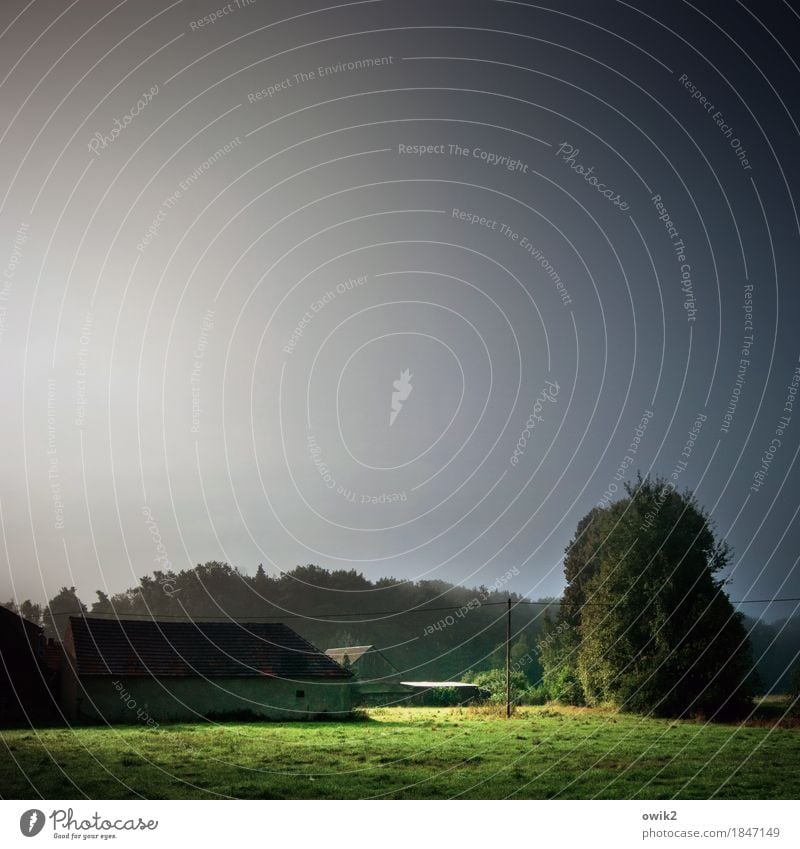 Wald- und Wiesenfoto Umwelt Natur Landschaft Pflanze Luft Wolkenloser Himmel Horizont Klima Schönes Wetter Baum Gras Dorf Haus Scheune Bauernhaus Fassade