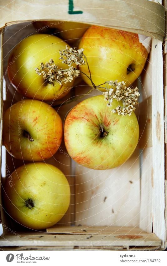 Gesunde Ernährung Farbfoto Nahaufnahme Detailaufnahme Menschenleer Textfreiraum unten Tag Licht Schatten Kontrast Schwache Tiefenschärfe Vogelperspektive Totale