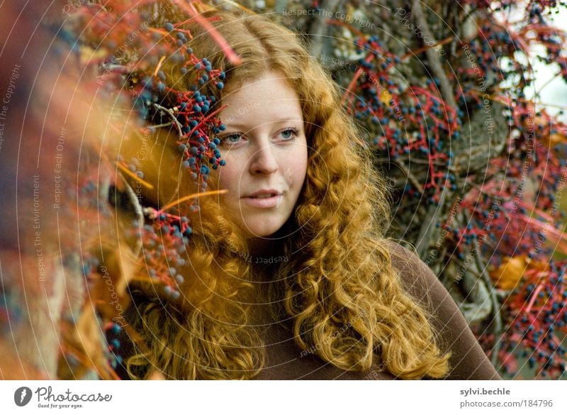 red! schön feminin Junge Frau Jugendliche Haare & Frisuren Gesicht Herbst Sträucher blau braun Gefühle Stimmung Farbe träumen Locken rot Beeren Frucht