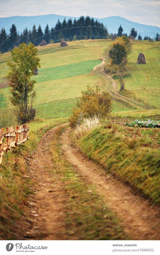 Herbstgarten in den Karpatenbergen Ferien & Urlaub & Reisen Tourismus Ausflug Abenteuer Ferne Berge u. Gebirge Garten Natur Landschaft Erde Wolken Baum Gras