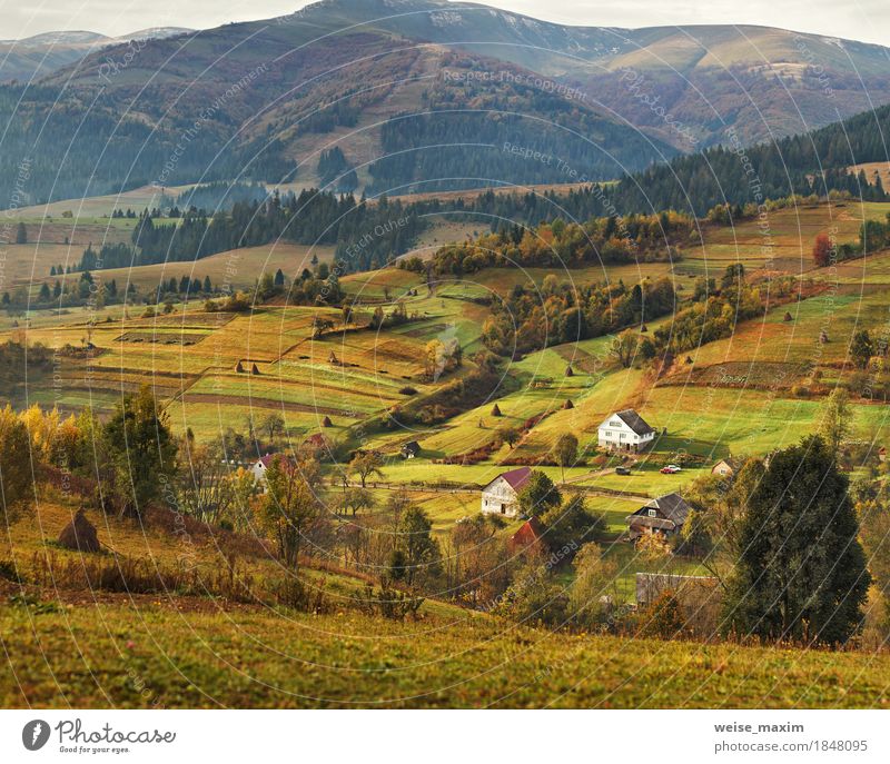 Herbstgarten in den Karpatenbergen. Obstgarten auf den Fallhügeln Ferien & Urlaub & Reisen Tourismus Abenteuer Ferne Freiheit Berge u. Gebirge Haus Garten