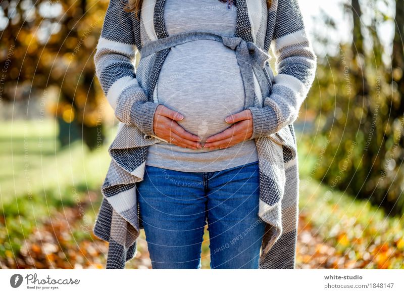 Vorfreude feminin Glück Junge Frau Bauch Hand Geborgenheit Liebe Partnerschaft Kinderwunsch Geburt Eltern Mutterschutz Mutterschaftsurlaub Herbst herbstlich