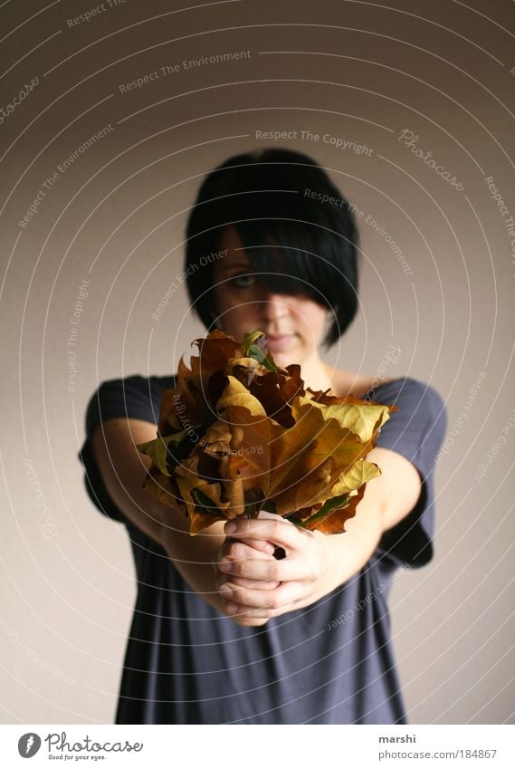 alles ist vergänglich... Farbfoto Unschärfe Blick nach vorn Mensch feminin Junge Frau Jugendliche Erwachsene Kopf Hand 1 Herbst Stimmung herbstlich vertrocknet