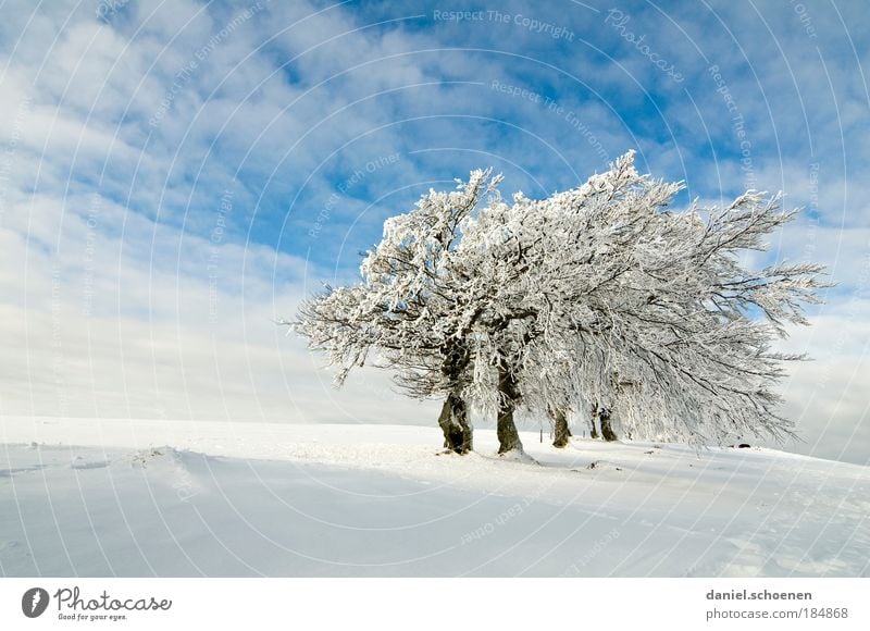 Seitenwind, blauweiß Textfreiraum oben Textfreiraum unten Licht Ferien & Urlaub & Reisen Winter Schnee Winterurlaub Berge u. Gebirge Klima Wetter Schönes Wetter