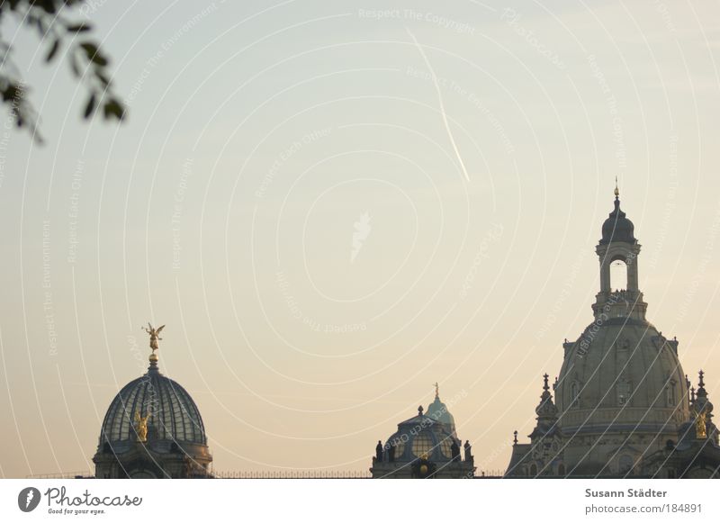 Zipfelbuben Kunst Kunstwerk Himmel Wolkenloser Himmel Schönes Wetter Gipfel Hauptstadt Stadtzentrum Altstadt Skyline Bauwerk Gebäude Architektur Fassade Dach