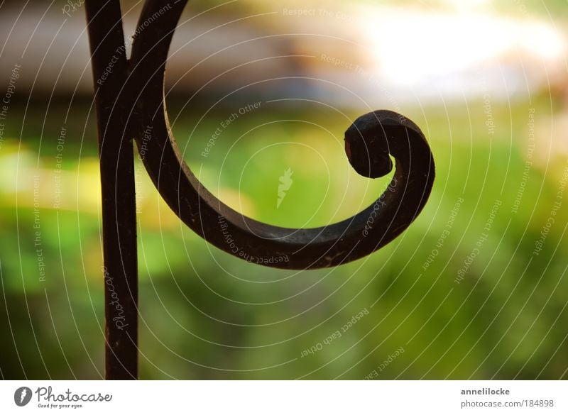 reine Zier Außenaufnahme Nahaufnahme abstrakt Muster Licht Silhouette Sonnenlicht Schwache Tiefenschärfe Dekoration & Verzierung Sommer Pflanze Park Balkon