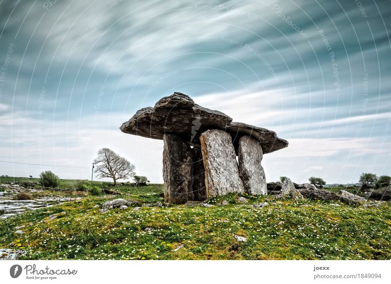 Stoned Himmel Wolken Hügel Menschenleer Sehenswürdigkeit Stein alt historisch blau grau grün Horizont Poulnabrone Farbfoto Gedeckte Farben Außenaufnahme Tag