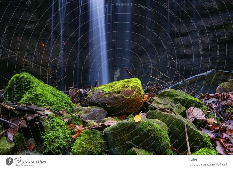 Waldbach Außenaufnahme Langzeitbelichtung Weitwinkel harmonisch Natur Landschaft Wasser Wassertropfen Herbst Klimawandel Regen Moos Bach Fluss Wasserfall