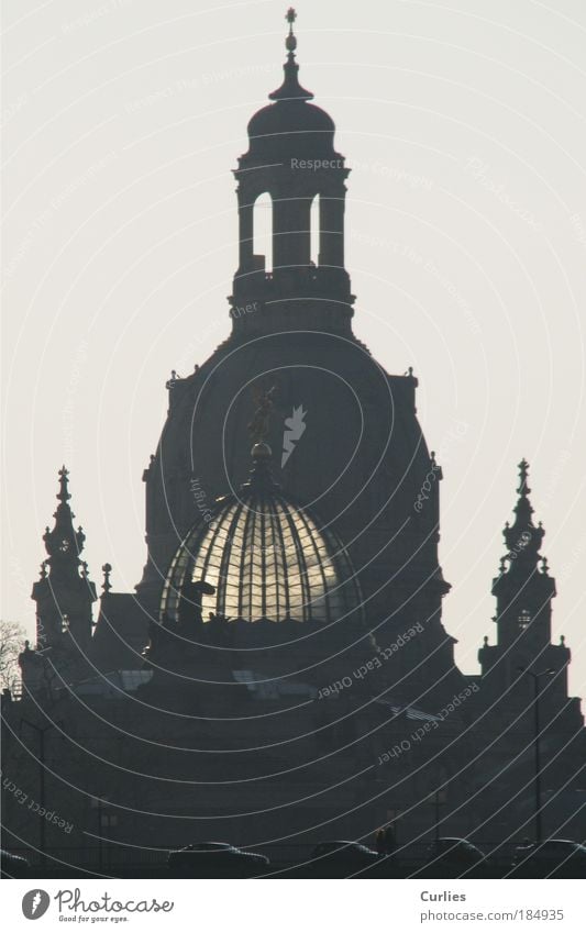 Frauenkirche im November Kultur Dresden Deutschland Europa Kirche Bauwerk Sehenswürdigkeit Wahrzeichen Denkmal Straßenverkehr Fußgänger PKW bauen entdecken