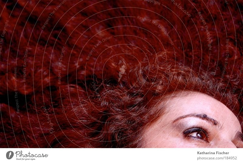 Red dream with open eye(s) schön Haare & Frisuren Haut Gesicht Wimperntusche Sinnesorgane Mensch feminin Junge Frau Jugendliche Erwachsene Kopf Auge 1 Kunst