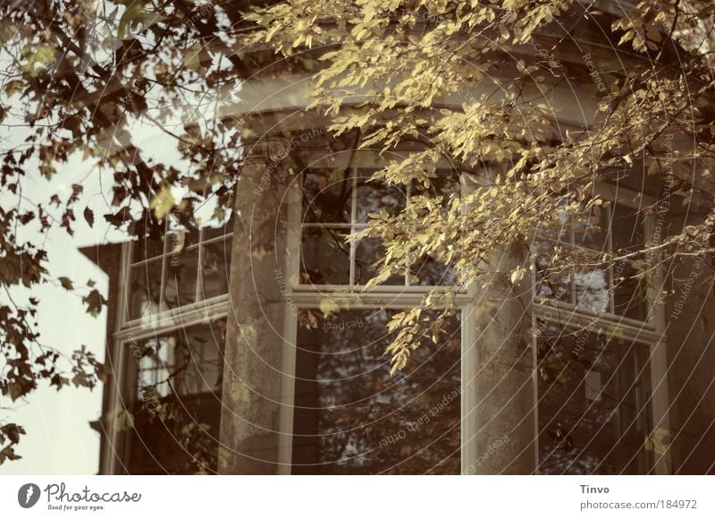 vor dem alten Herrenhaus (2)... Haus Traumhaus Burg oder Schloss Ruine Bauwerk Gebäude Architektur Fenster Erker Doppelbelichtung Zweige u. Äste Herbst falsch