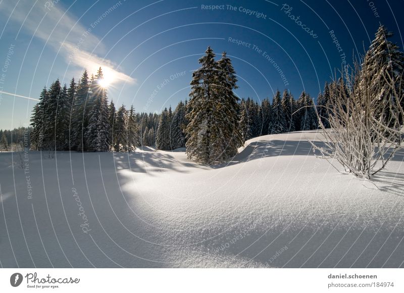 blauweißer Pulverschneesonnenaufgang Ferien & Urlaub & Reisen Tourismus Freiheit Winter Schnee Winterurlaub Natur Landschaft Wolkenloser Himmel Klima