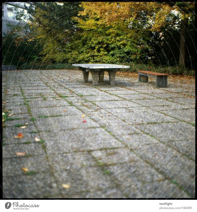 randsportart Freizeit & Hobby Spielen Schule Schulgebäude Schulhof Terrasse Einsamkeit vergessen alt solide Bank Tischtennisplatte Herbst Blatt Baum Farbfoto