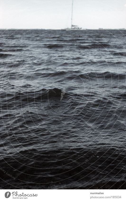 Meer mehr, Salzwasser, Boot Fisch Freizeit & Hobby Segeln Freiheit Sommer Wellen Natur Urelemente Wasser Horizont Schönes Wetter Wind Segelboot Segeljacke