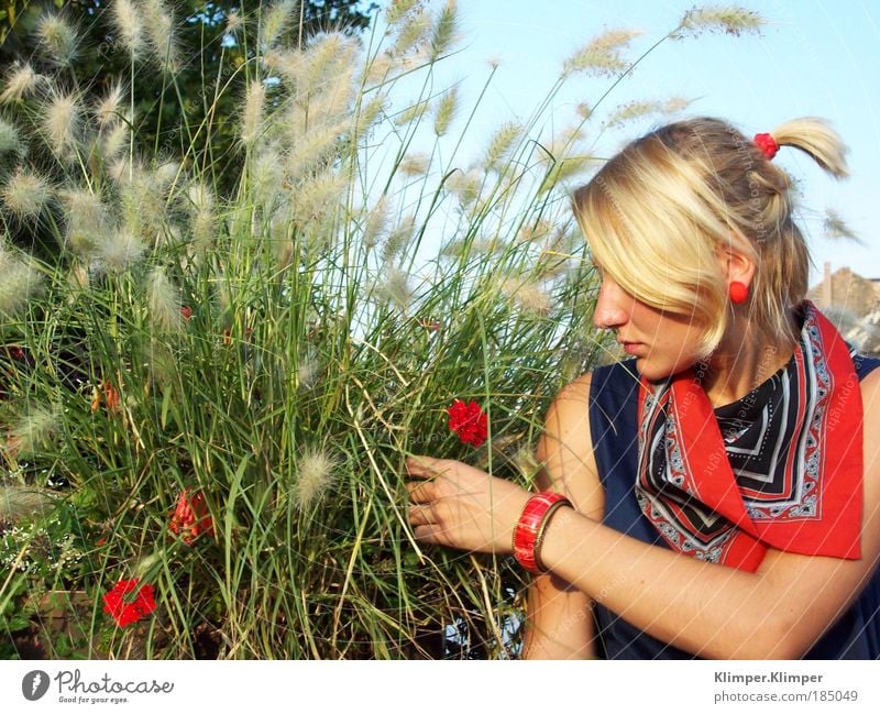 Blonde Redhead. Ferien & Urlaub & Reisen Ausflug Sommer feminin Junge Frau Jugendliche 18-30 Jahre Erwachsene Pflanze Schönes Wetter Gras Blüte Mohnblüte