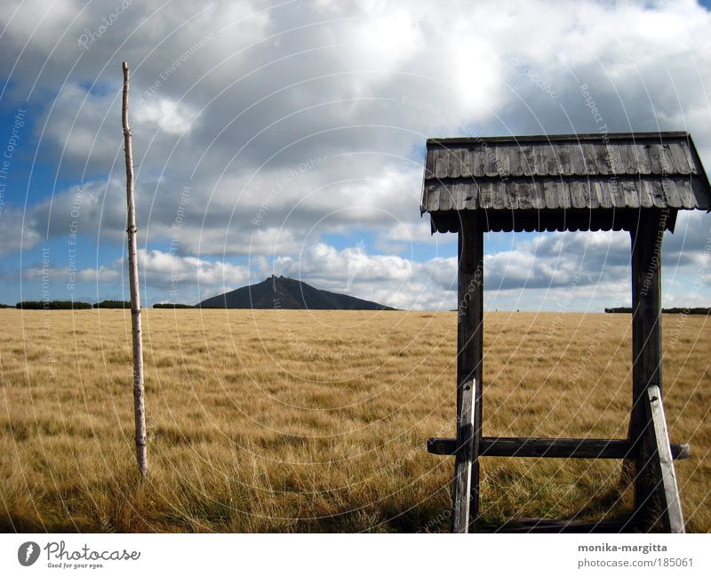 Weitsicht Ferien & Urlaub & Reisen Ausflug Natur Landschaft Pflanze Erde Himmel Wolken Horizont Herbst Schönes Wetter Gras Berge u. Gebirge Riesengebirge Gipfel