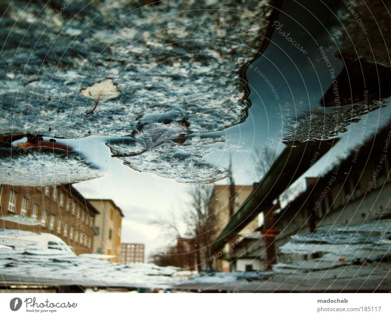 BREAKING THE FRAME Umwelt Wasser Herbst Klima Wetter Unwetter Angst Pfütze Surrealismus Tagtraum Apokalypse Perspektive skurril entgegengesetzt fremd Farbfoto