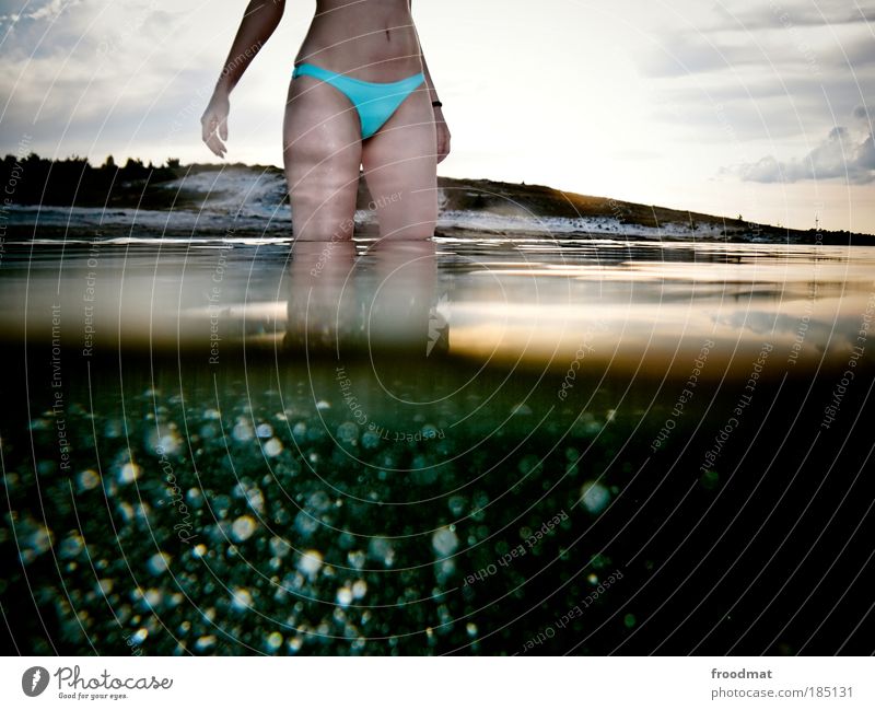 saisonkonflikt Mensch feminin Junge Frau Jugendliche Erwachsene Bauch Beine Schwimmen & Baden ästhetisch außergewöhnlich Coolness schön kalt Erotik Freude