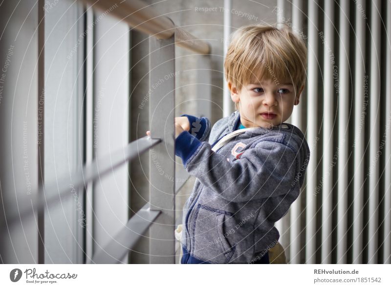 Hochschulgebäude studieren Stil Mensch maskulin Kind Kleinkind Junge Gesicht 1 1-3 Jahre Mauer Wand Pullover beobachten entdecken authentisch klein natürlich