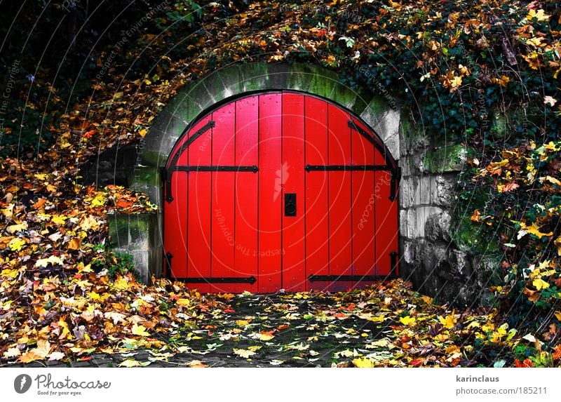 hinter der roten Tür Teil der alten Siedlung in Maastricht Niederlande Umwelt Landschaft Urelemente Herbst Park Ruine Mauer Wand Denkmal Stein Holz Backstein