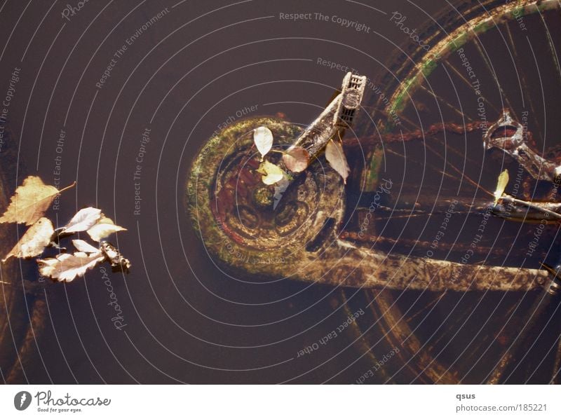 Wasserrad Technik & Technologie Kettengetriebe Speichen Pedal Zahnrad Umwelt Herbst Blatt Teich Verkehrsmittel Verkehrswege Verkehrsunfall Fahrrad alt nass