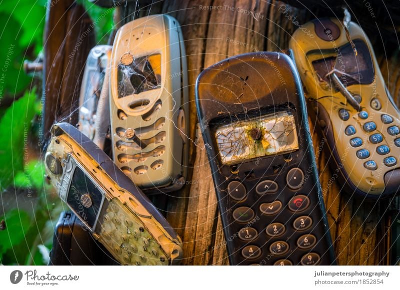 Alte gebrochene Handys genagelt zu einem Stamm sprechen Telefon Bildschirm Technik & Technologie Telekommunikation Informationstechnologie Papier alt