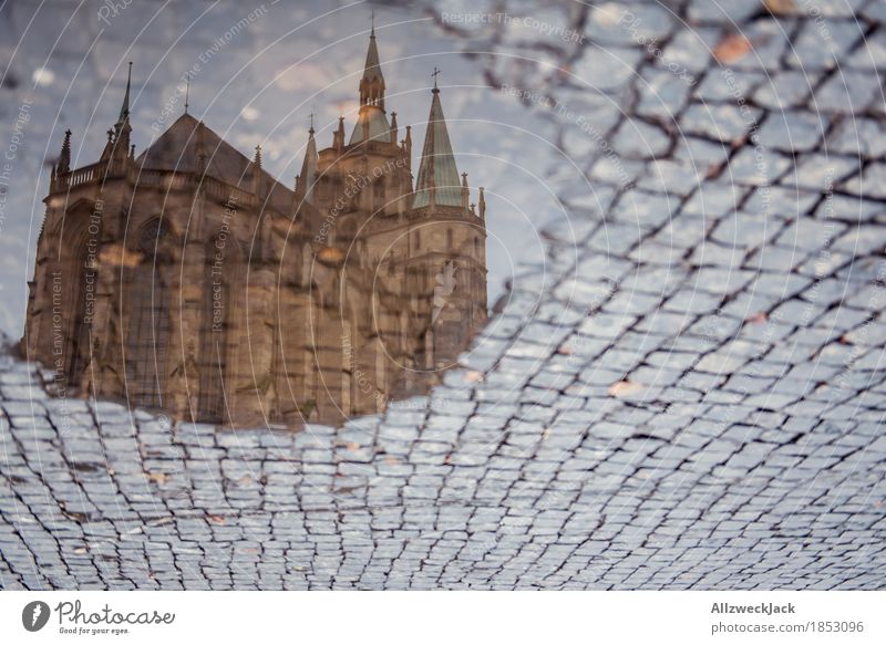 Dompfützchen I Erfurt Stadt Stadtzentrum Altstadt Menschenleer Sehenswürdigkeit Wahrzeichen Religion & Glaube Pfütze Wasser Kopfsteinpflaster Domplatz