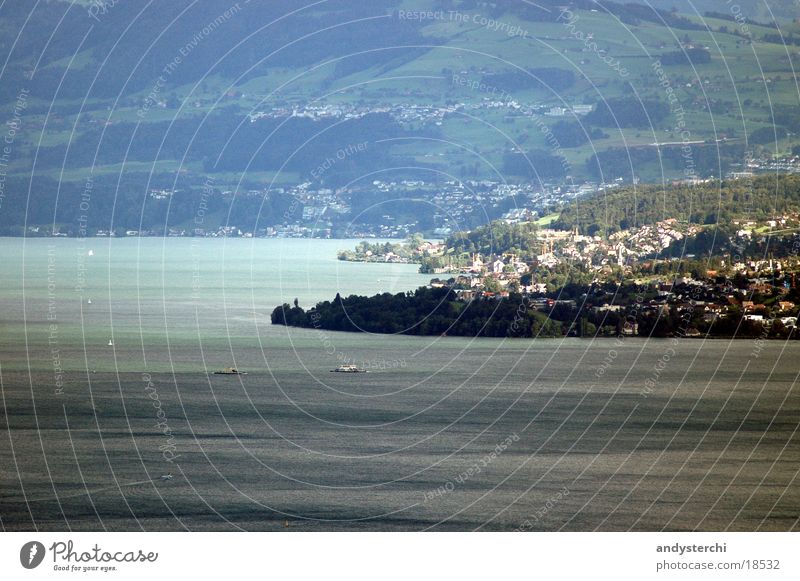 Zürisee 2 Schweiz See grün Stadt zürisee Zürich Wasser lake Landschaft