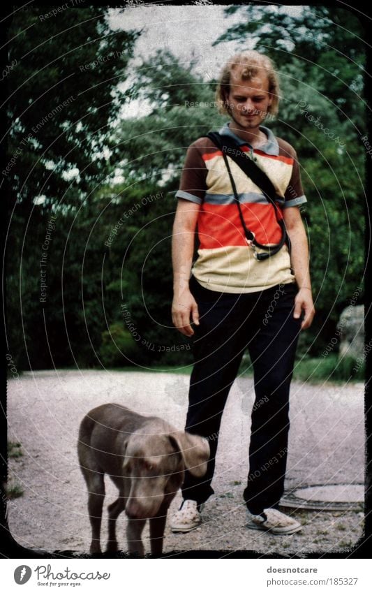 Going Walkies. Mensch maskulin Junger Mann Jugendliche Erwachsene 1 18-30 Jahre Blick Tierhaltung Haustier Weimaraner Hund Stolz Gassi gehen Jagdhund analog