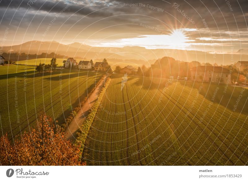 Herbstlicht Landschaft Pflanze Himmel Wolken Horizont Wetter Schönes Wetter Baum Feld Felsen Berge u. Gebirge Dorf leuchten braun gelb gold grau grün orange