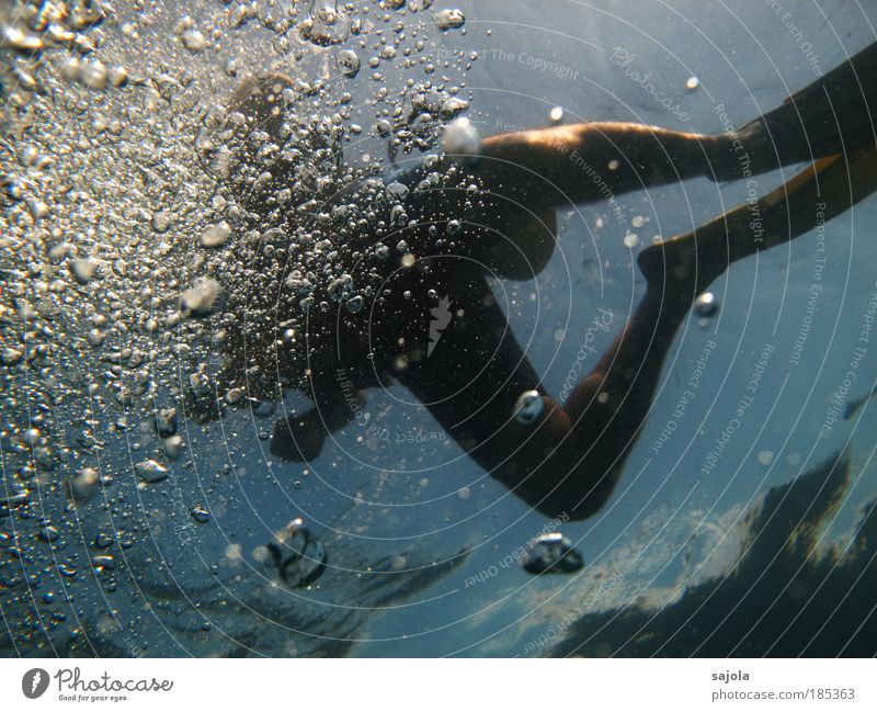 bubblestaucher Mensch maskulin Mann Erwachsene Beine 1 Umwelt Natur Urelemente Luft Wasser Meer atmen tauchen blau Freude Lebensfreude Freiheit Freizeit & Hobby