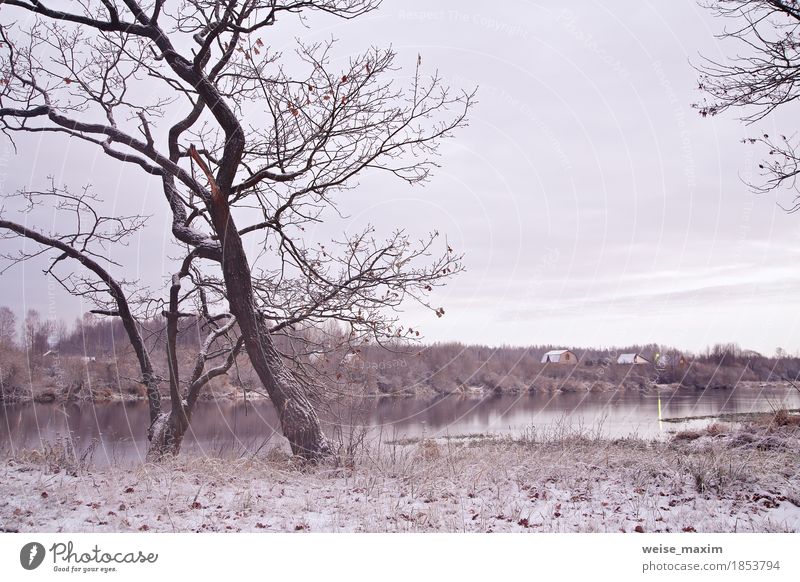 Erster Schnee am Flussufer. Herbstmorgen Landschaft Ferien & Urlaub & Reisen Tourismus Abenteuer Ferne Freiheit Winter wandern Haus Umwelt Natur Pflanze Wetter