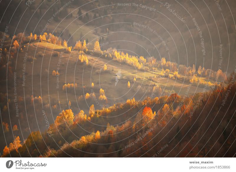 Fall in Berghügeln. Alpine Oktober-Szene Ferien & Urlaub & Reisen Tourismus Ausflug Ferne Berge u. Gebirge Haus Umwelt Natur Landschaft Pflanze Sonnenaufgang