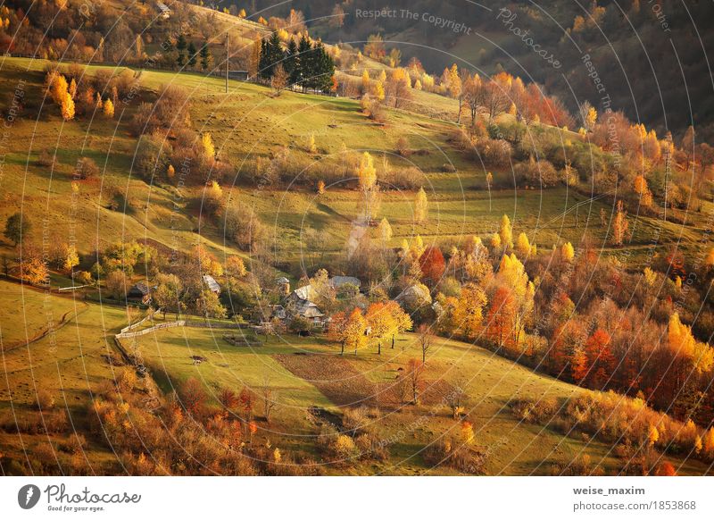 Fall in Bergdorf. Alpine Oktober-Szene. Ferien & Urlaub & Reisen Tourismus Ausflug Abenteuer Ferne Freiheit Berge u. Gebirge wandern Haus Umwelt Natur