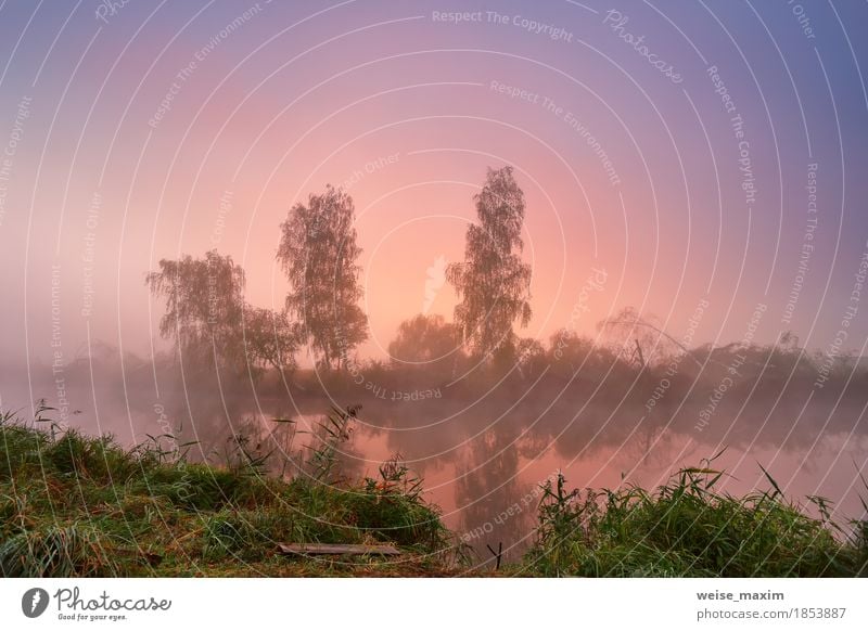 Nebeliger Morgen des Herbstes. Bunte Dämmerung auf dem nebelhaften ruhigen Fluss Ferien & Urlaub & Reisen Tourismus Freiheit Umwelt Natur Landschaft Himmel Baum