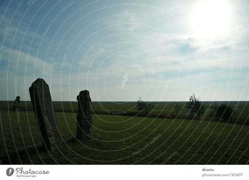 Vergänglichkeit Natur Landschaft Himmel Wolken Sonne Sonnenlicht Schönes Wetter Pflanze Gras Insel gruselig historisch blau grün ruhig Traurigkeit Trauer Tod