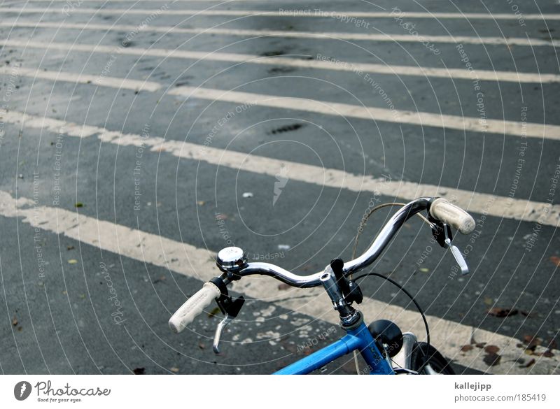 zebra auf streife Lifestyle Freizeit & Hobby Verkehr Verkehrsmittel Verkehrswege Personenverkehr Straßenverkehr Fahrrad Nostalgie Lenker Fahrradklingel Bremse