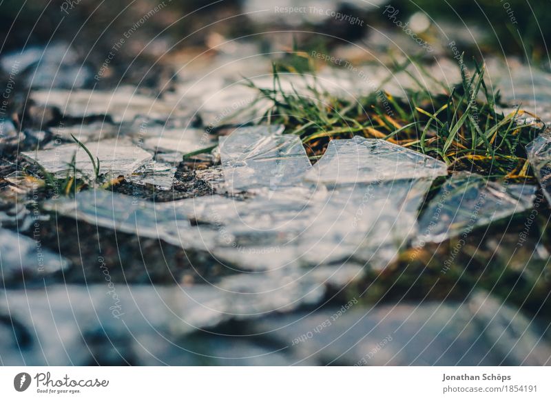 Väterchen Frost XII Umwelt Natur Herbst Winter Pflanze Gras Tod Schmerz Enttäuschung Erschöpfung schuldig Scham Reue Wut Frustration Rache Aggression Gewalt