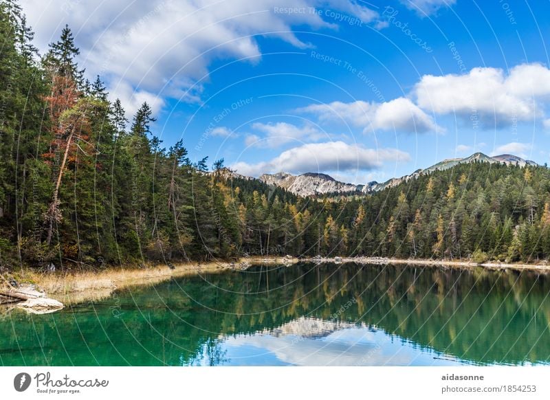 Eibsee Natur Landschaft Pflanze Wasser Schönes Wetter Wald Felsen Alpen Berge u. Gebirge Gipfel Schneebedeckte Gipfel Gletscher Seeufer Glück Zufriedenheit