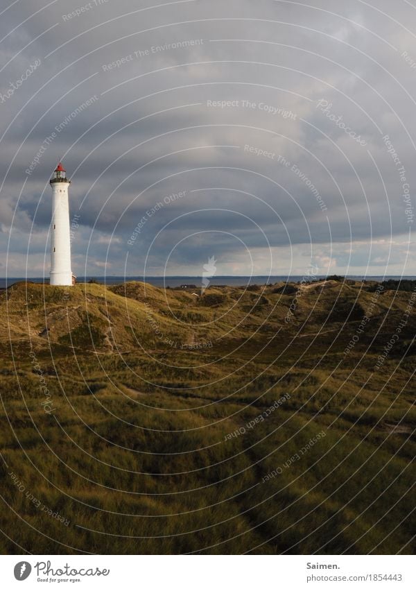 Leuchtturm Turm Düne Himmel schlechtes nasser wolken stürmisch Symbol Natur Farbfoto Landschaft Gras Dünengras düster insel Meer ozean Nordsee Unwetter