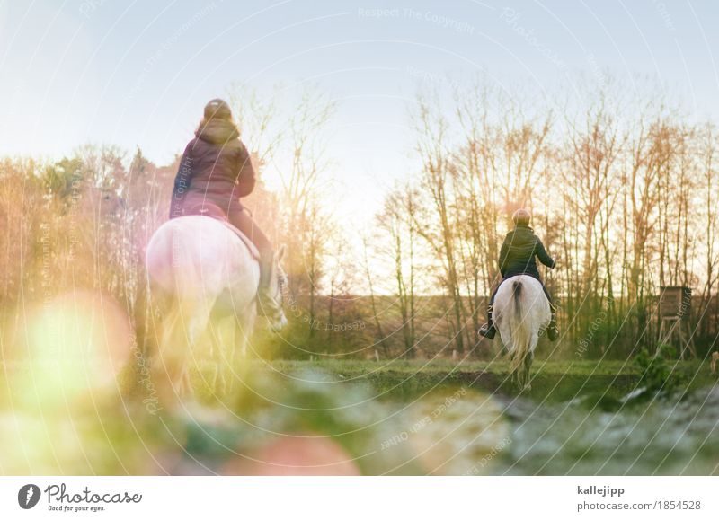 am wegesrand Freizeit & Hobby Ausflug Abenteuer Ferne Freiheit Sport Fitness Sport-Training Reiten Mensch 2 30-45 Jahre Erwachsene Umwelt Natur Landschaft