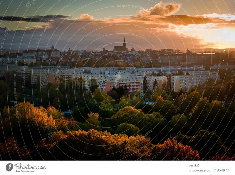 Bunte Stadt Landschaft Himmel Wolken Herbst Schönes Wetter Baum Wald Bautzen Lausitz Deutschland Kleinstadt Skyline bevölkert Haus Kirche Dom Bauwerk Gebäude