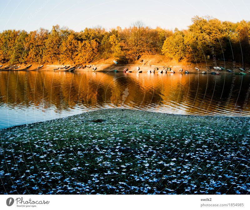 Parkbucht Umwelt Natur Landschaft Pflanze Wasser Wolkenloser Himmel Horizont Herbst Klima Schönes Wetter Baum Blatt Laubbaum Herbstfärbung Seeufer Strand Bucht